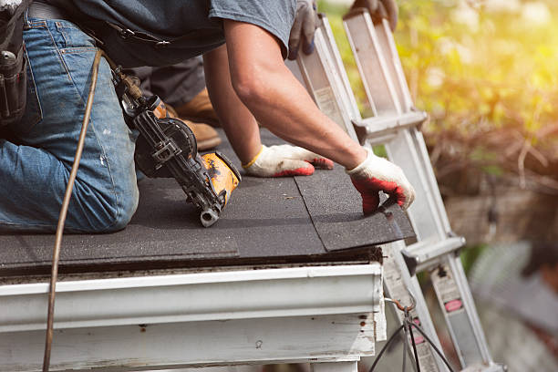 Best Roof Gutter Cleaning  in Morenci, AZ